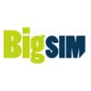 BigSim